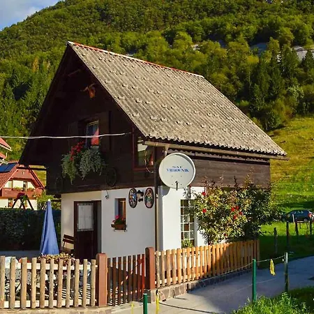 Apartmaji Bohinj